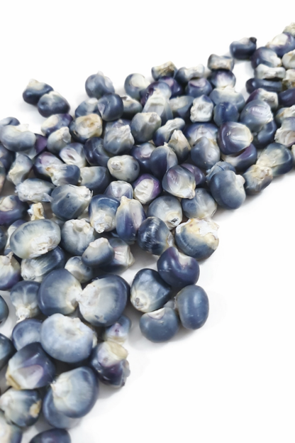 Blue Hopi Open Pollinated Corn Seed 80 Seeds