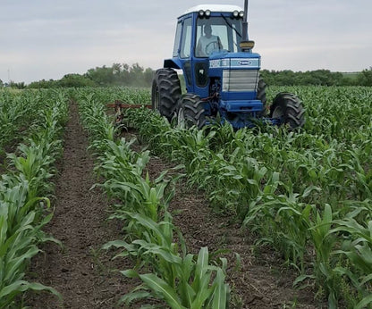 Nutrient Dense Whole Corn - 2 LBS Organic Non-GMO Grade 1 Yellow Dent Corn. Open Pollinated